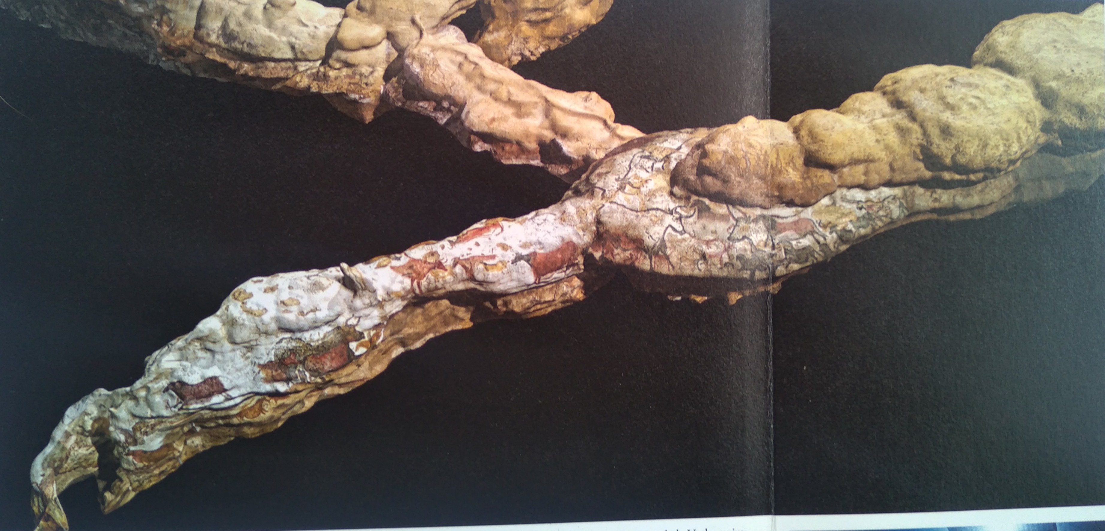 diverticule axial Lascaux crédit Cab. Guy Perazio